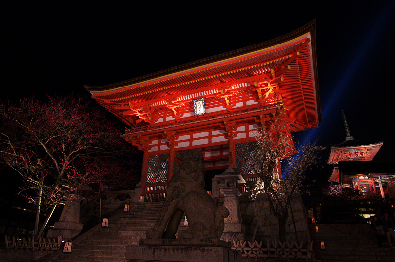 京都・東山花灯路2013(清水寺編)_f0155048_15195087.jpg