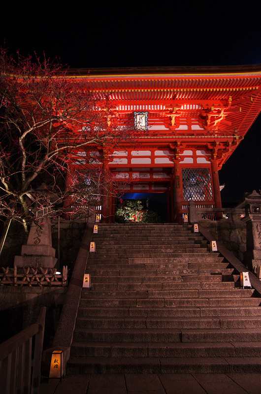 京都・東山花灯路2013(清水寺編)_f0155048_1520031.jpg