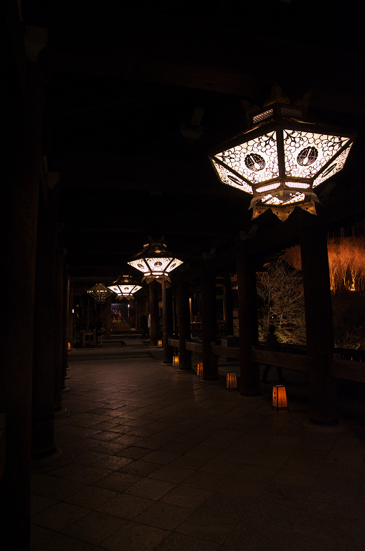 京都・東山花灯路2013(清水寺編)_f0155048_15204142.jpg