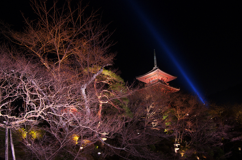 京都・東山花灯路2013(清水寺編)_f0155048_15225956.jpg