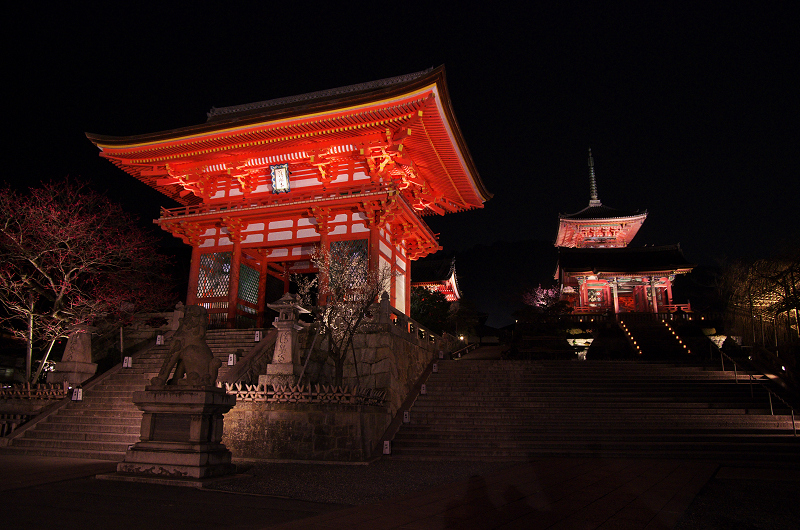京都・東山花灯路2013(清水寺編)_f0155048_15234330.jpg