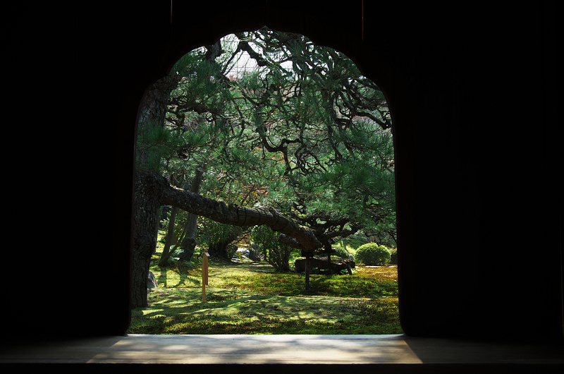 相国寺塔頭・慈照院（京の冬の旅2013）_f0155048_15481632.jpg