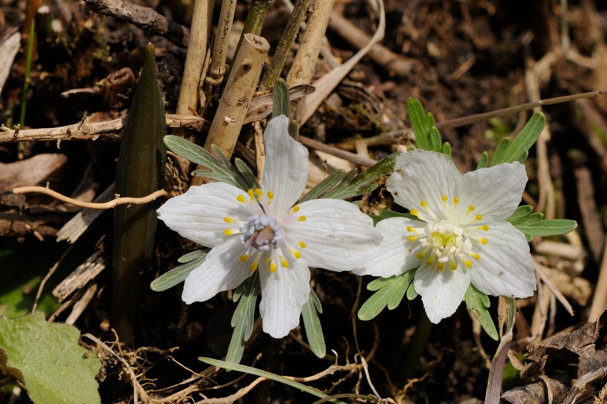 f0224648_1445923.jpg