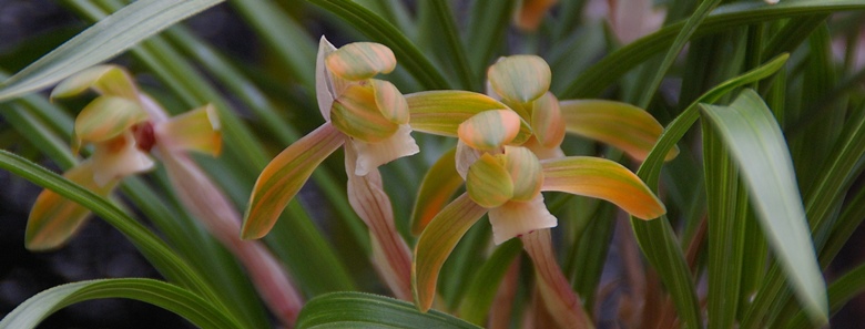 f0043750_2238373.jpg
