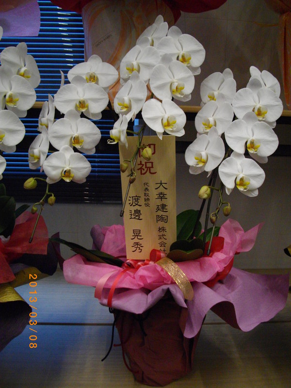 a0288755_217162.jpg