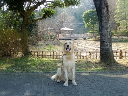 c0097558_07661.jpg