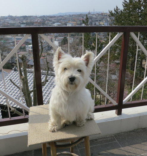 ビフォー アフター_c0260460_10482220.jpg