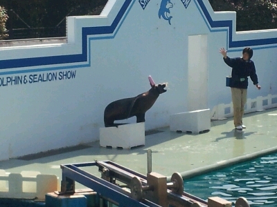 しながわ水族館_b0286966_21535521.jpg