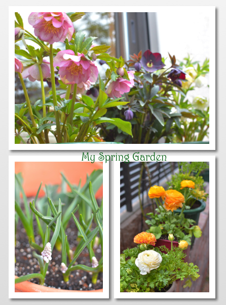 My  spring  garden ✿✿_b0243873_20213575.png