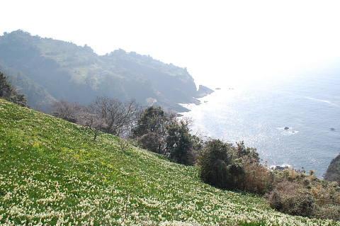 c0022275_10195389.jpg