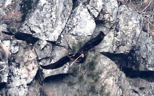 d0262476_55598.jpg
