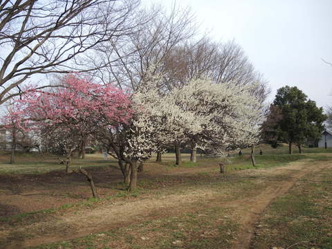 e0232277_10545587.jpg