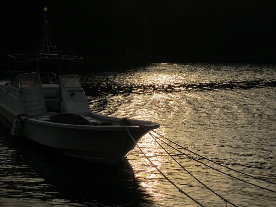 b0182884_5552484.jpg