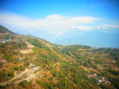 a0207588_2095291.jpg
