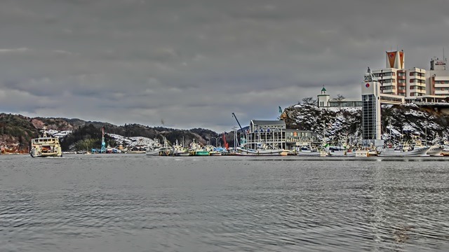 d0181492_1147256.jpg