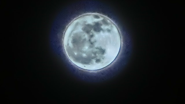 d0181492_956891.jpg