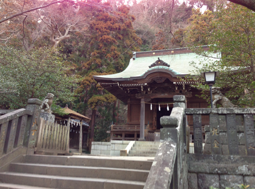 a0146493_1750059.png