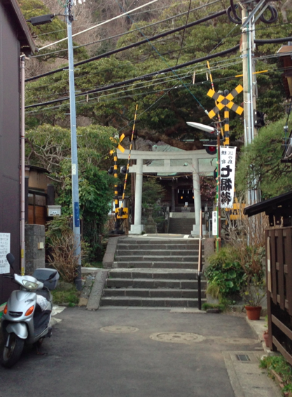 a0146493_17553698.png