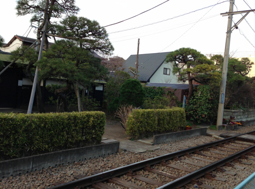 a0146493_1831075.png