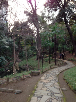 a0146493_8205946.png