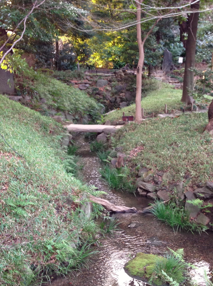 a0146493_8231799.png