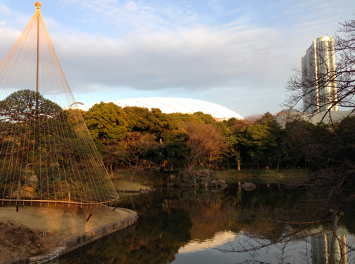 a0146493_8264284.png