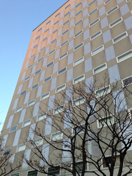 a0146493_8332750.png