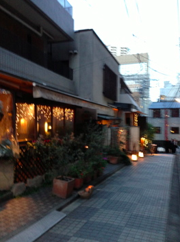 a0146493_8345556.png
