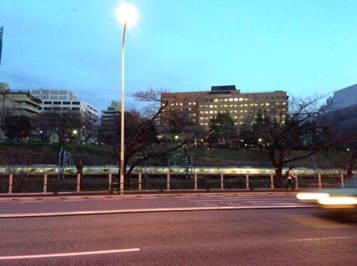 a0146493_8375639.png