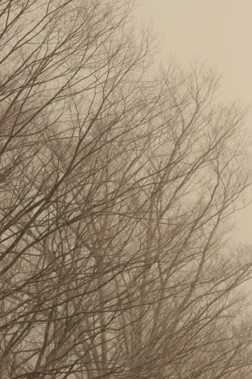 b0194593_21165833.jpg