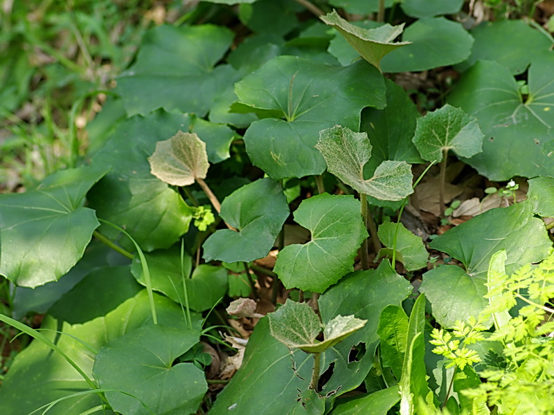 f0204094_21181017.jpg
