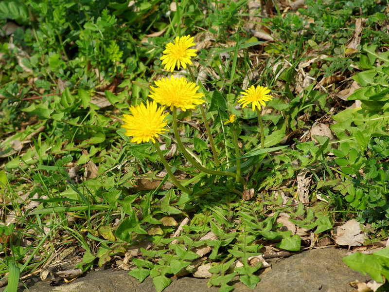 f0204094_2142638.jpg
