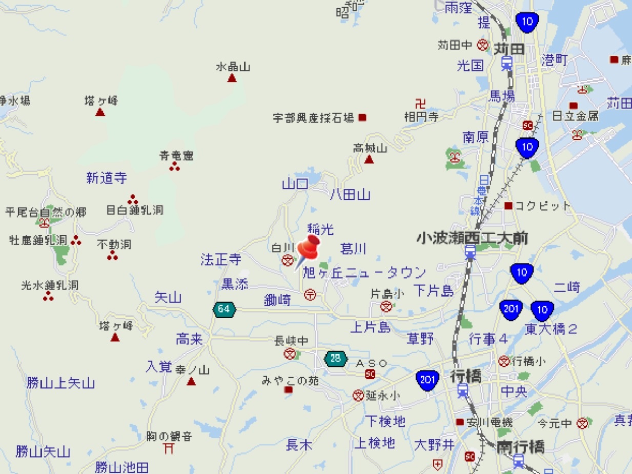 母なる樹、生命の根幹へと_f0071303_9472182.jpg