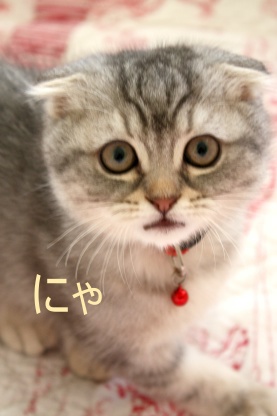 記念写真♪_c0178104_21274686.jpg