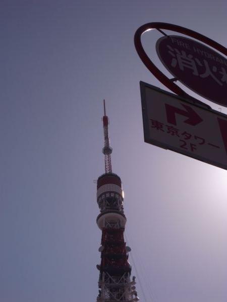 c0164709_2015721.jpg