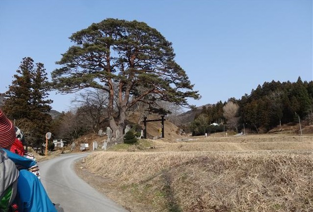 a0127015_1743521.jpg