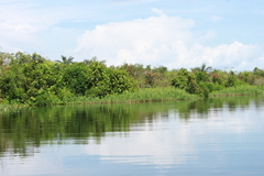 f0053026_844110.jpg