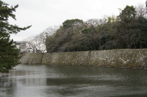 一転、琵琶湖の春は_f0155431_20414785.jpg
