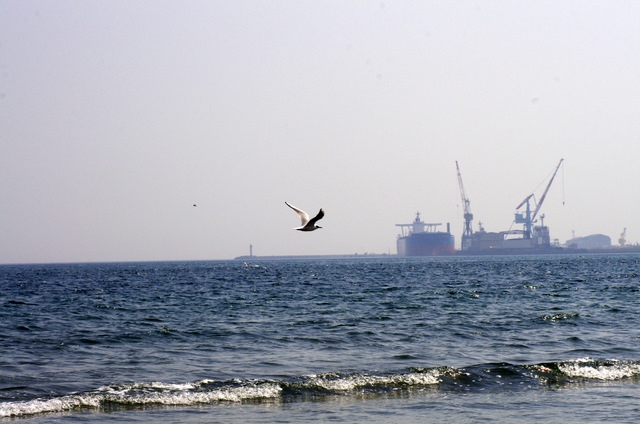 d0186245_1523998.jpg