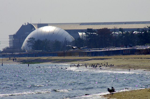 d0186245_1525571.jpg