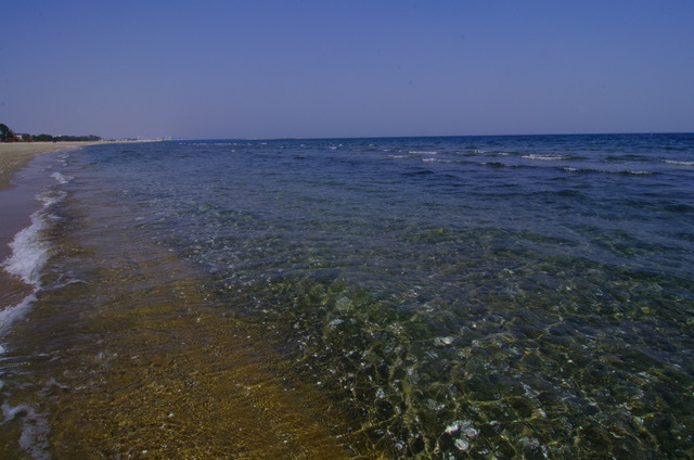d0186245_153628.jpg