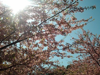 震災から2年_a0061057_215533.jpg