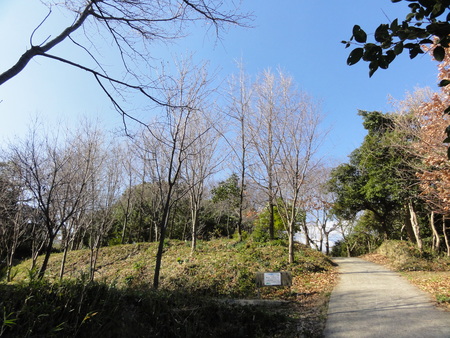 c0108460_15453125.jpg