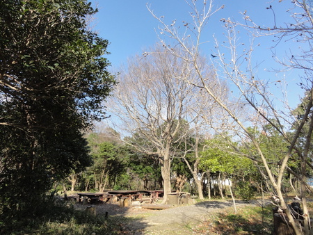 c0108460_15464373.jpg