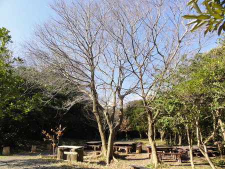 c0108460_1546694.jpg