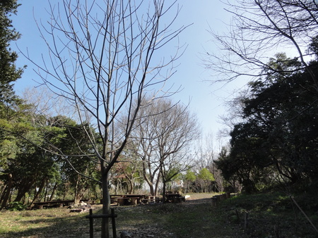 c0108460_15472717.jpg
