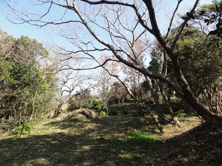 c0108460_15482893.jpg