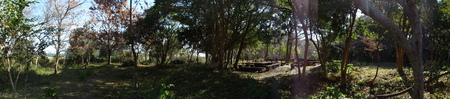 c0108460_15484917.jpg