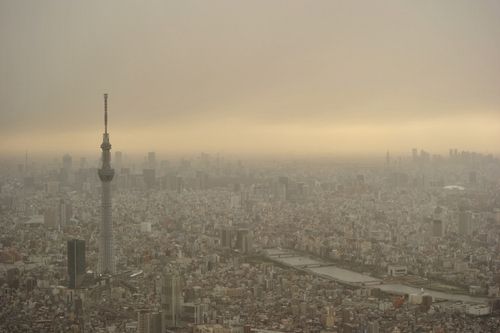 e0069867_6145647.jpg