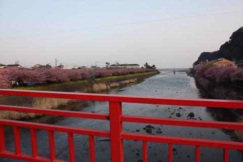 e0180472_1535442.jpg